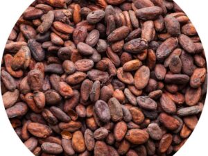 Cacaobonen Raw - 1 Kg - Holyflavours - Biologisch gecertificeerd