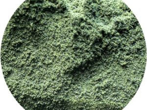 Chlorella Poeder - 100 gram - Holyflavours - Biologisch
