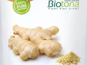 Biotona Poeder Superfoods Ginger Powder