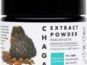 Chaga Paddenstoelen Extract Poeder Bio 30 gram