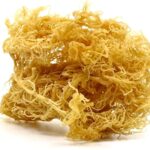 Irish Sea Moss - 92 Mineralen - Organic & Vegan