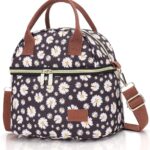 9 l koeltas, klein, dubbellaags, lunchtas voor dames en kinderen, isolatietas, waterdichte lunchtas, thermotas voor werk, school, picknick