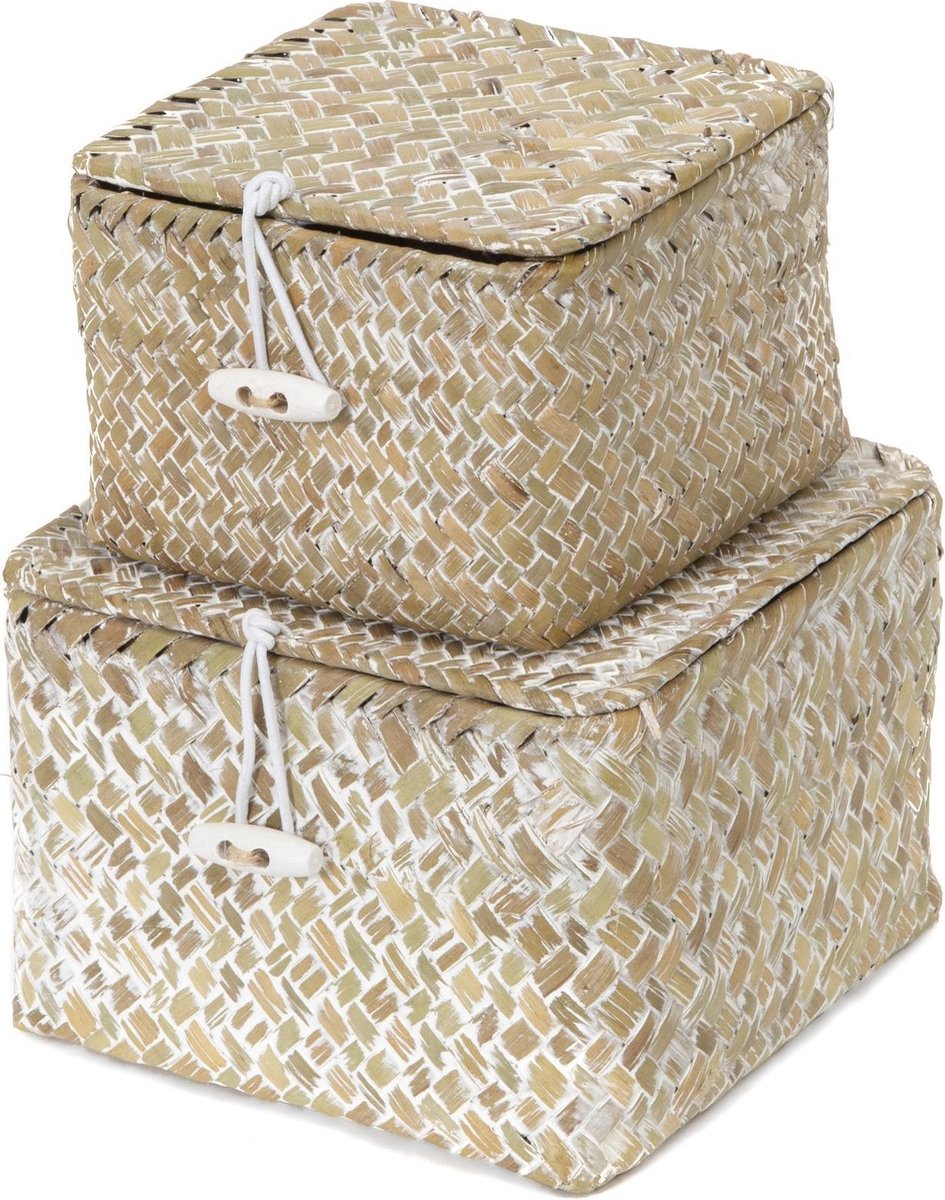 Compactor Opbergmanden Tresor zeegras beige 2 stuks Compactor Opbergmanden Tresor zeegras beige 2 stuks